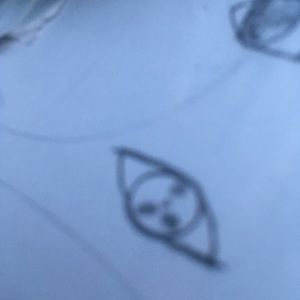 Meet your Posher, Demarco